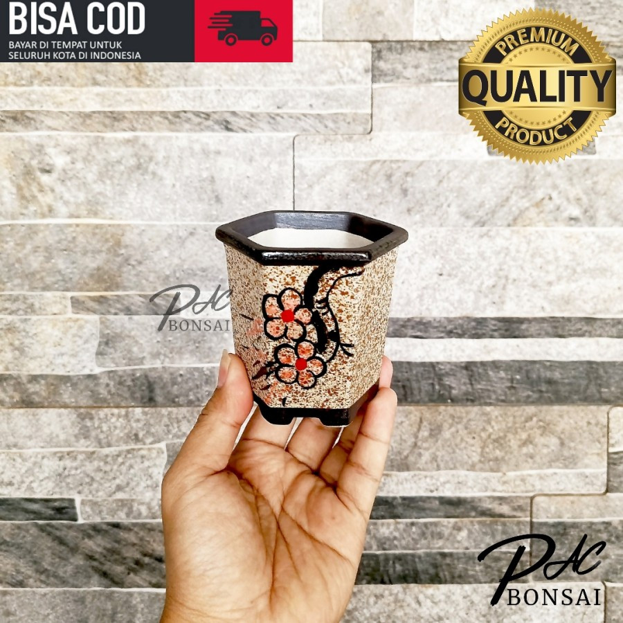 Liceriashop17 Premium Pot Bonsai Keramik Segi Enam Berkualitas Sukulen Kaktus Bonsai Air Terjun