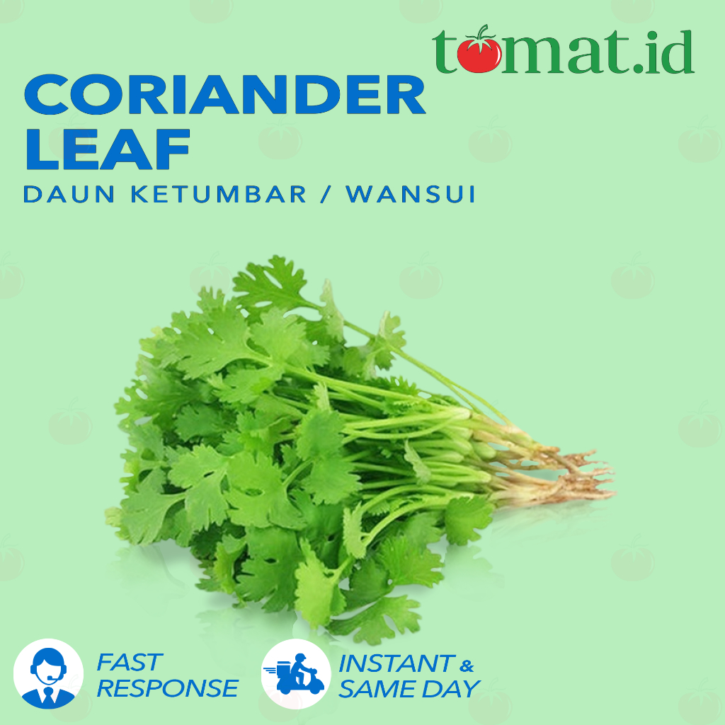 Daun Ketumbar / Wansui