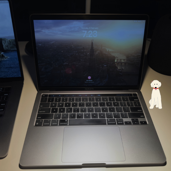 Apple Macbook Pro 13" M1 2020 (Second)