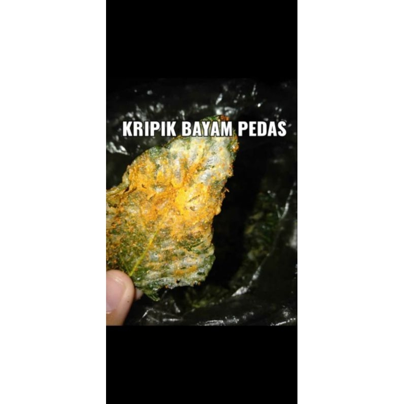 

KERIPIK BAYAM CRISPY PEDAS 150 GRAM