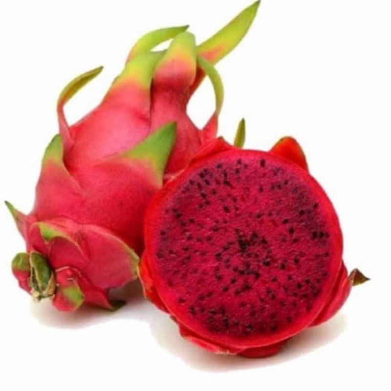

Buah Naga merah 1kg/ buah naga merah 1kg