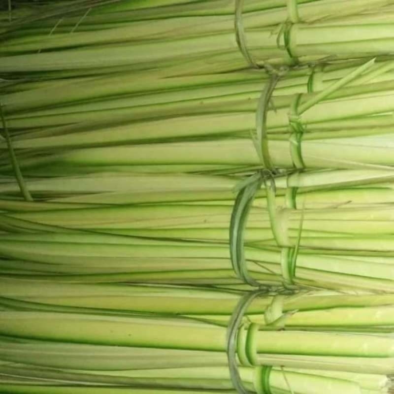 

jual janur kuning/daun kelapa muda 20 lidi/40 lembar
