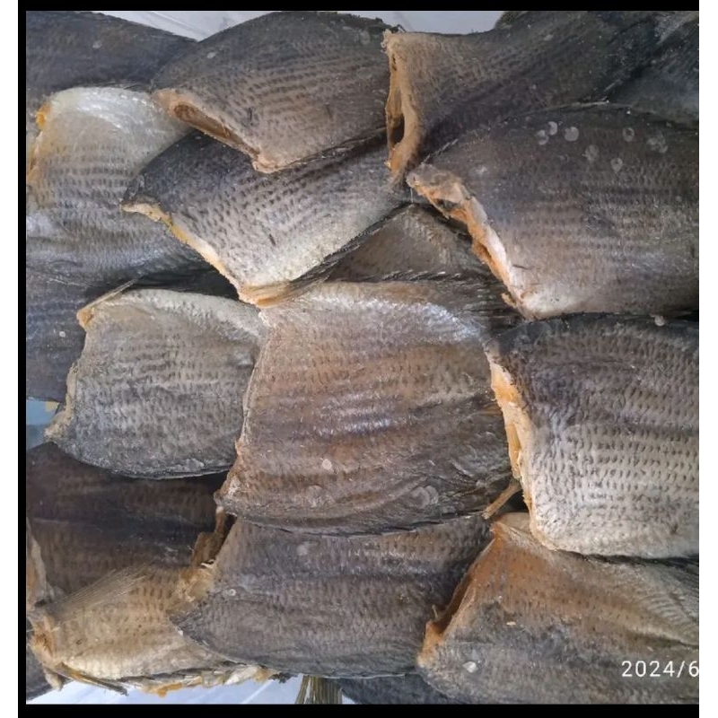

Ikan sepat semi tawar tidak terlalu asin