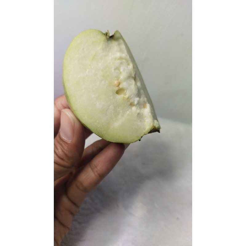 

Buah Jambu Kristal Grade C 1 kg isi 7 s/d 9