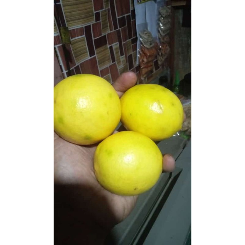 

lemon