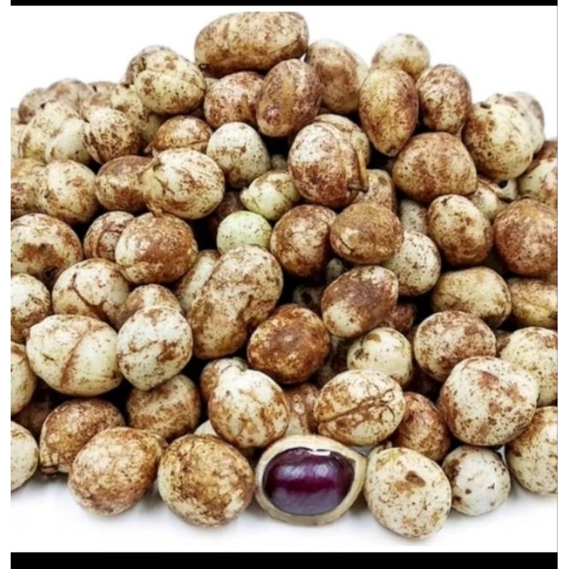 

KACANG TANAH SUPER BOGOR/POLONG TUA PULEN 1KG BERSIH