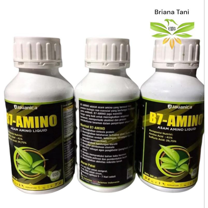 B7-Amino 500 ML Asam Amino Liquid Dari Javanica Vigorin