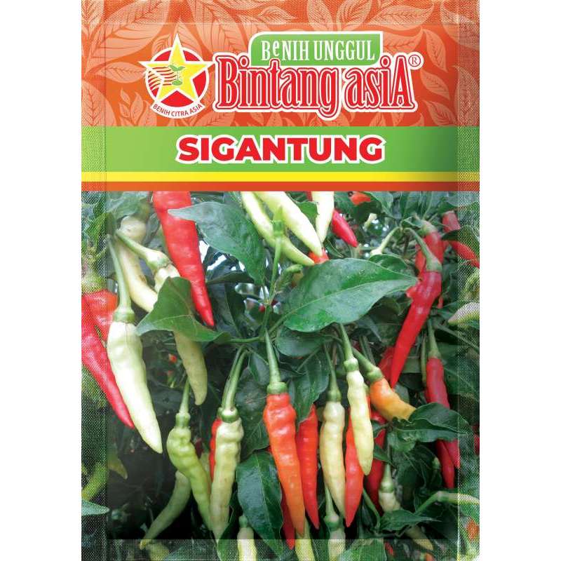 Benih Cabai Rawit SIGANTUNG Cabe Rawit Merah Pedas Setan Tipe Merunduk Seeds - Bintang Asia