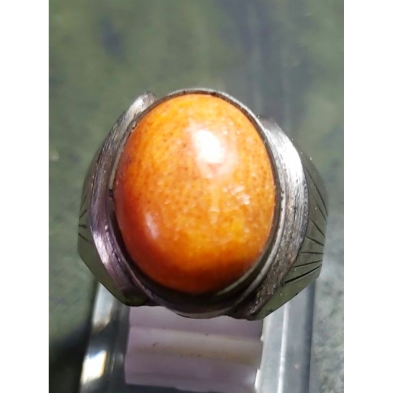 Orange Coral Marjan