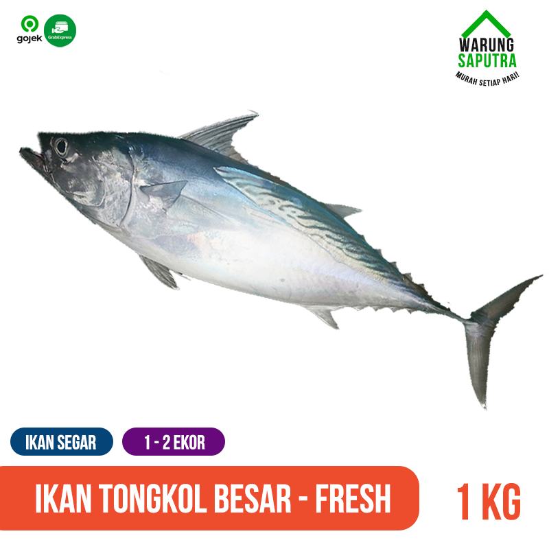 

Ikan Tongkol Besar Segar Mati 1 kg