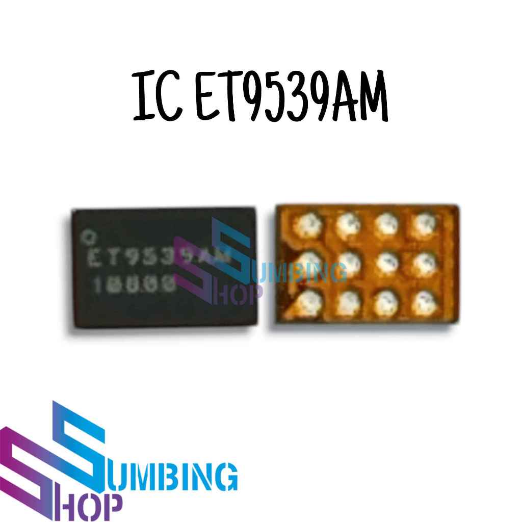 IC Cas Charger Samsung A51 ET9539AM
