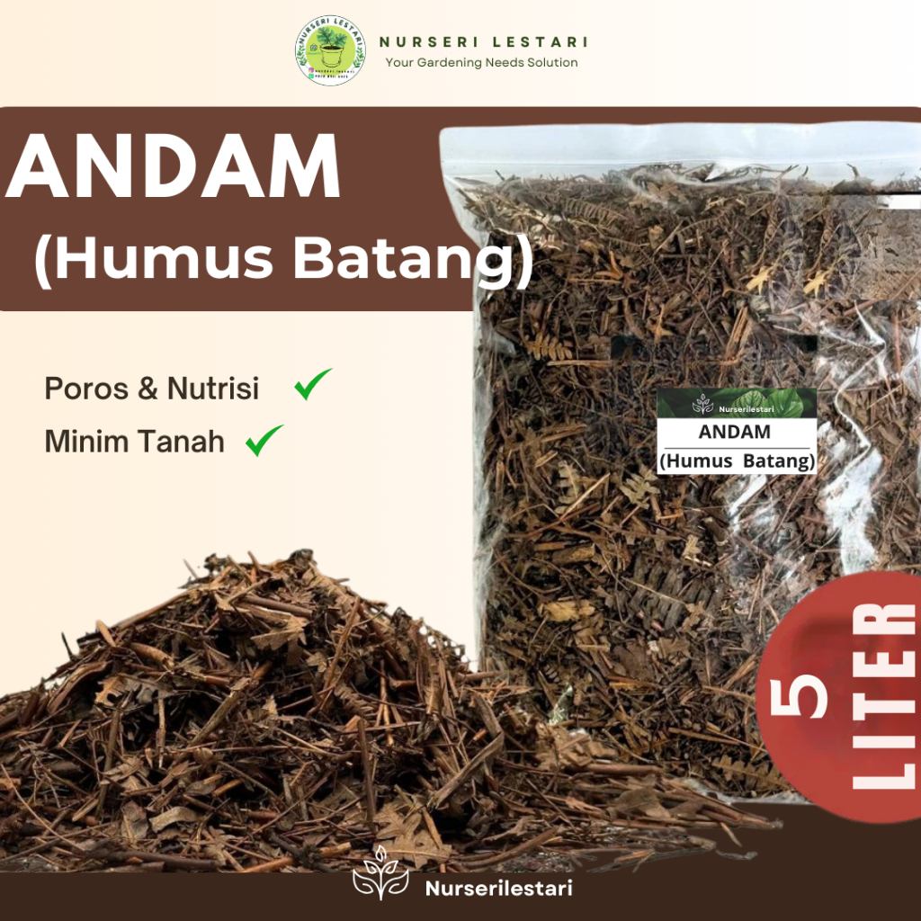 Andam Batang Humus Daun Untuk Media Tanam Tanaman Hias Aglonema Philodendron Monstera Aroid