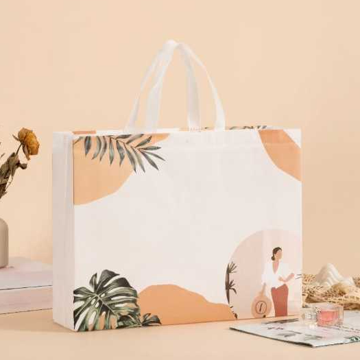 

32 x 10 x 27 cm Tas Jinjing / Tas Belanja / Tas Spunbond / Tas Souvenir / Tas Jinjing Wanita / Tas Liat / Tas Kado / Kantong Belanja / Tas Belanja Ramah Lingkungan / Tas Belanja Cantik / Tas / Tas Goodie Bag / Goodiebag / Tas Belanja Murah / Motif 2