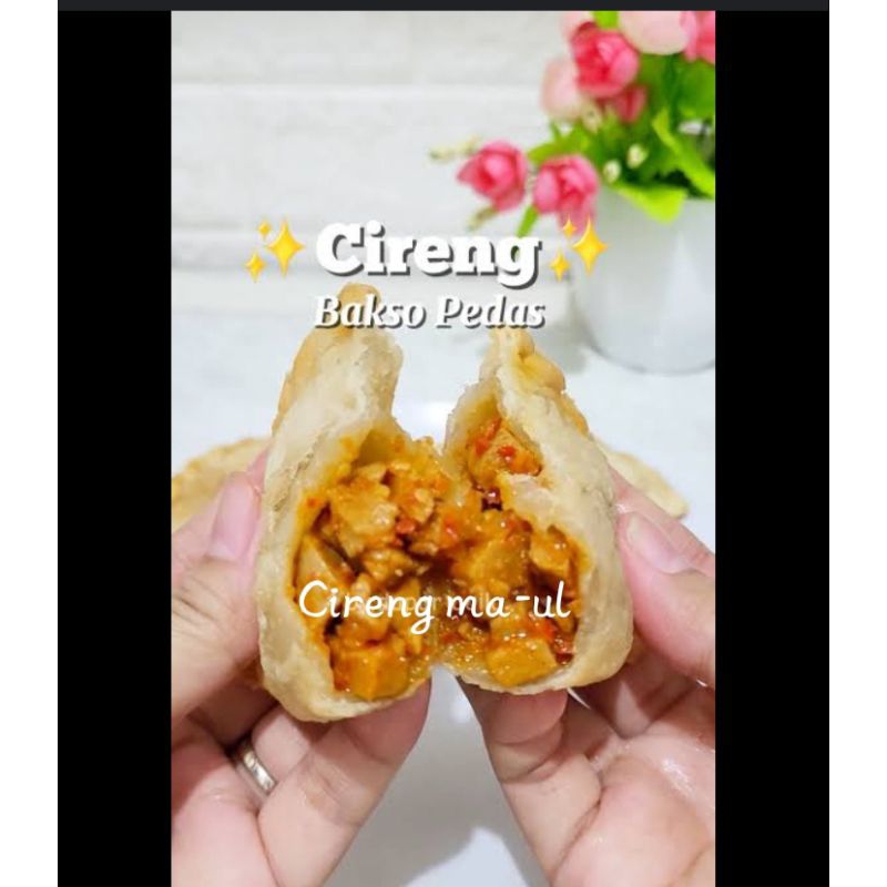 

Cireng isi bakso pedas isi/10pcs kecil