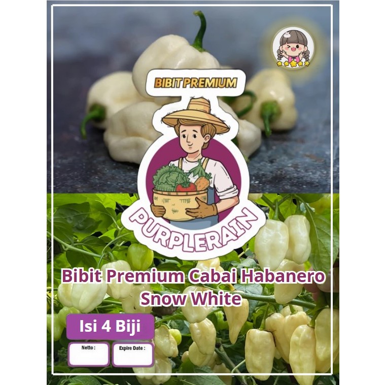 Bibit Premium Cabe Habanero Snow White | Biji Benih Cabe Habanero Putih