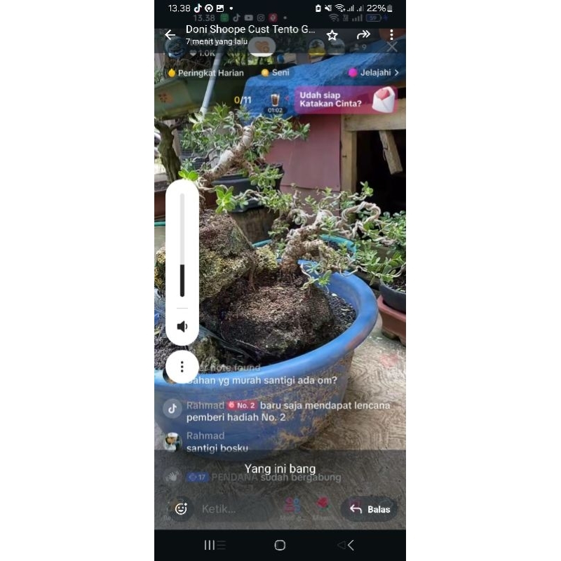 bahan bonsai santigi