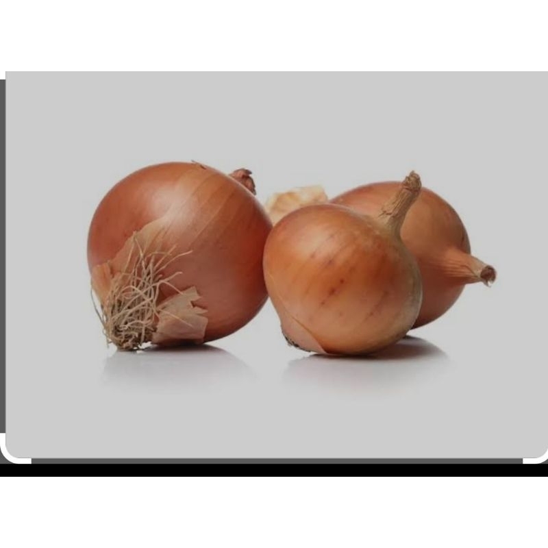

BAWANG BOMBAI