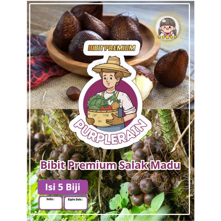 Bibit Premium Salak Madu |Biji Bibit Salak Medan|Benih Salak