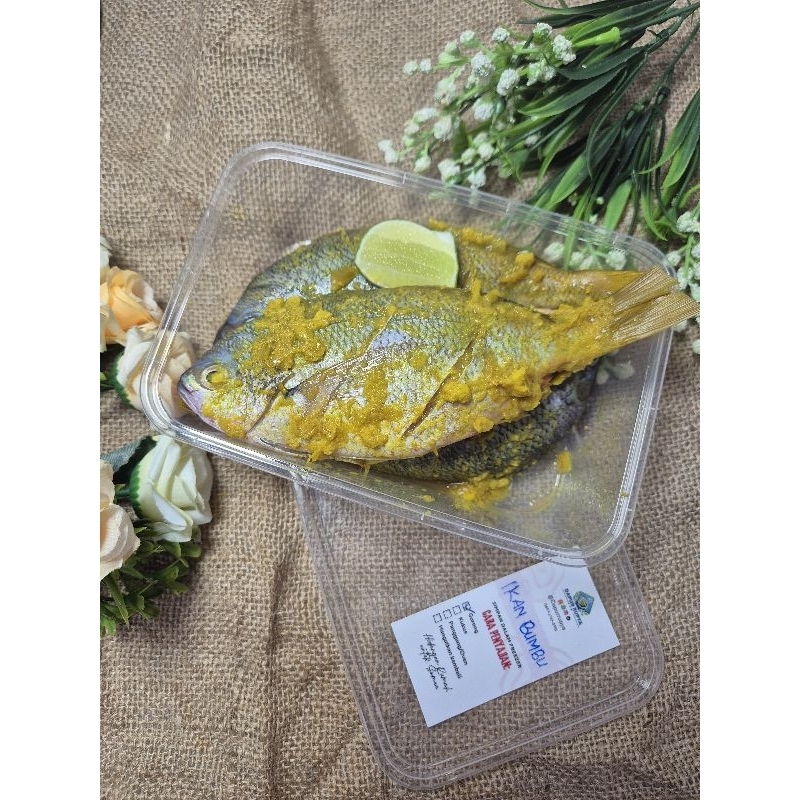 

Ikan nila Bumbu, ikan frozen, olahan ikan frozen food 2 ekor ukuran sedang