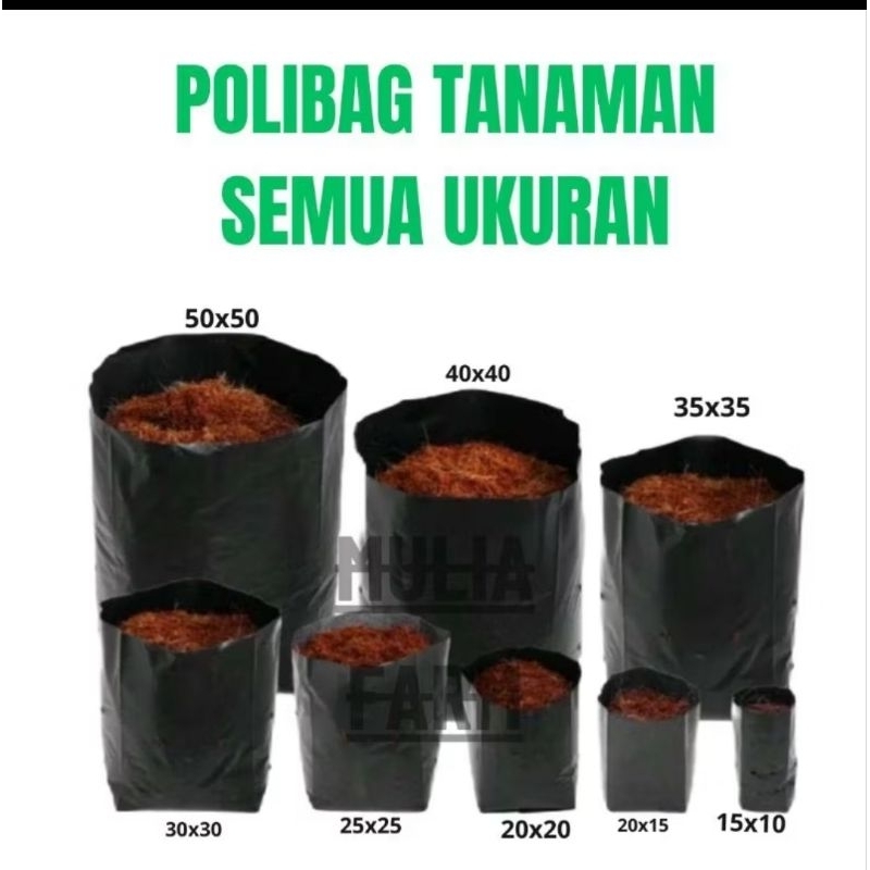 Polybag 25x25