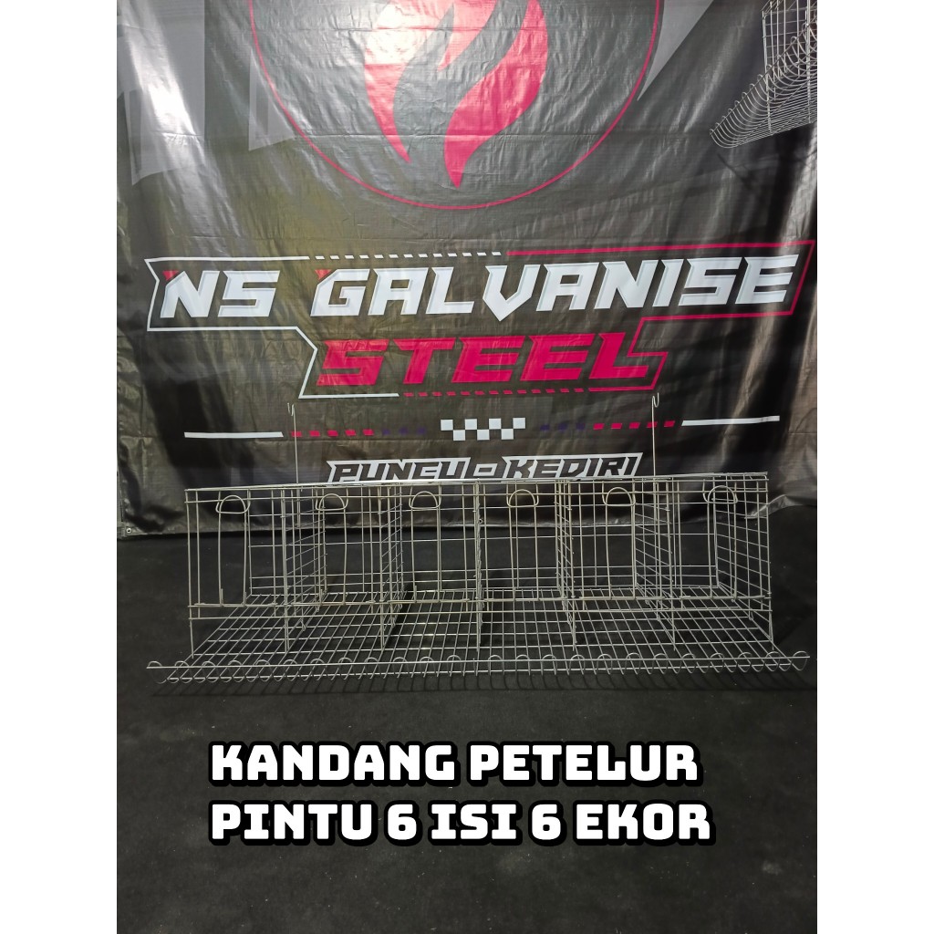 KANDANG BATREY AYAM PETELUR PINTU 6 ( isi 6 ekor )