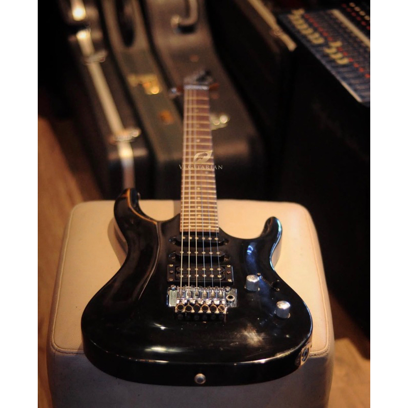 gitar elektrik j&d brothers jnd tremolo updown original