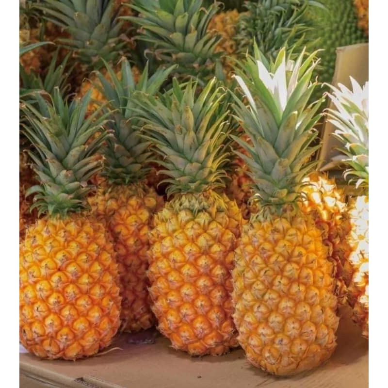

Nanas subang Grat A 1 buah