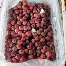 

Anggur Red Globe 500 gr