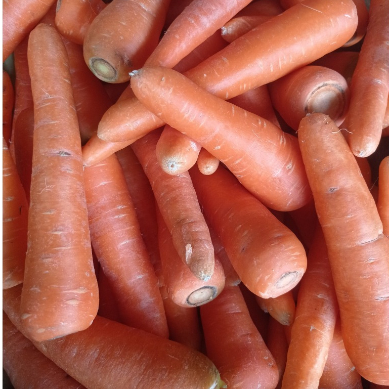 

Wortel Brastagi 500Gr