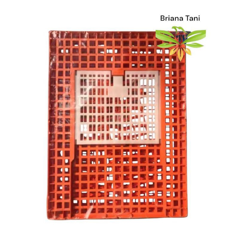 Keranjang Ayam Besar Medion