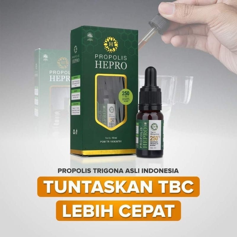 Propolis Trigon Asli Indonesia TBC Lebih Cepat