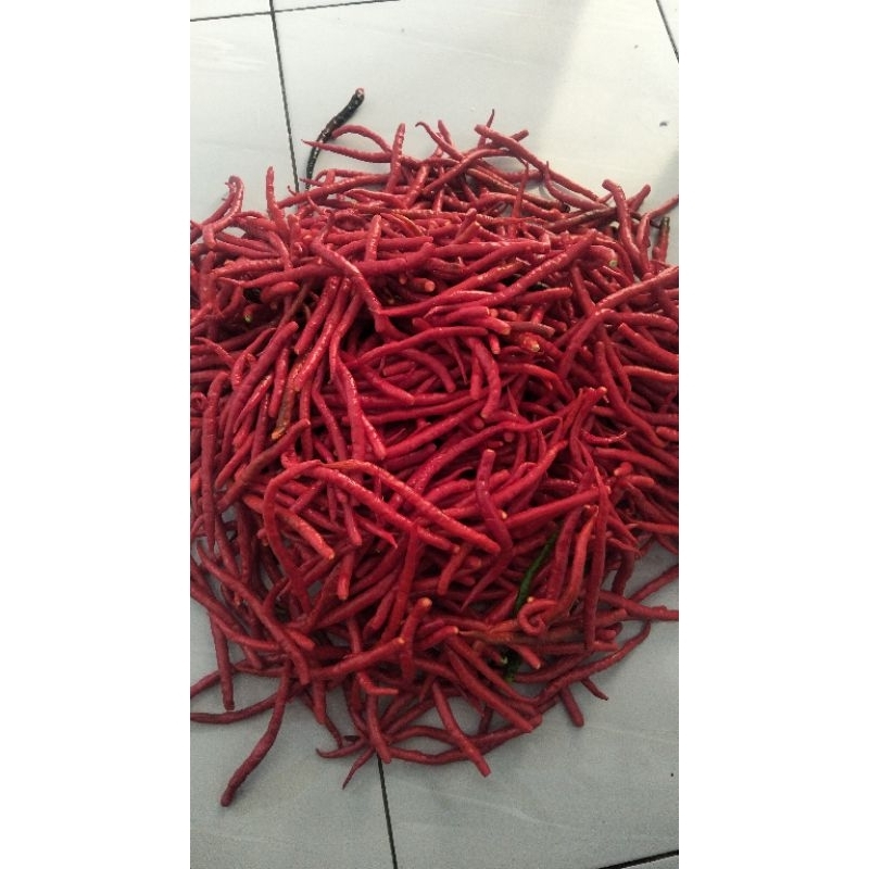 

cabe merah petik