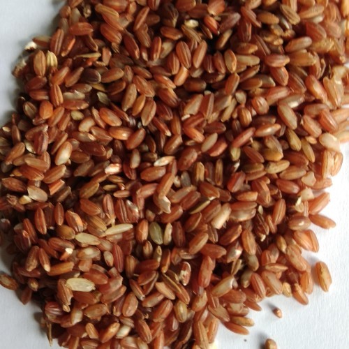 

Beras merah tabanan, brown rice, beras merah premium