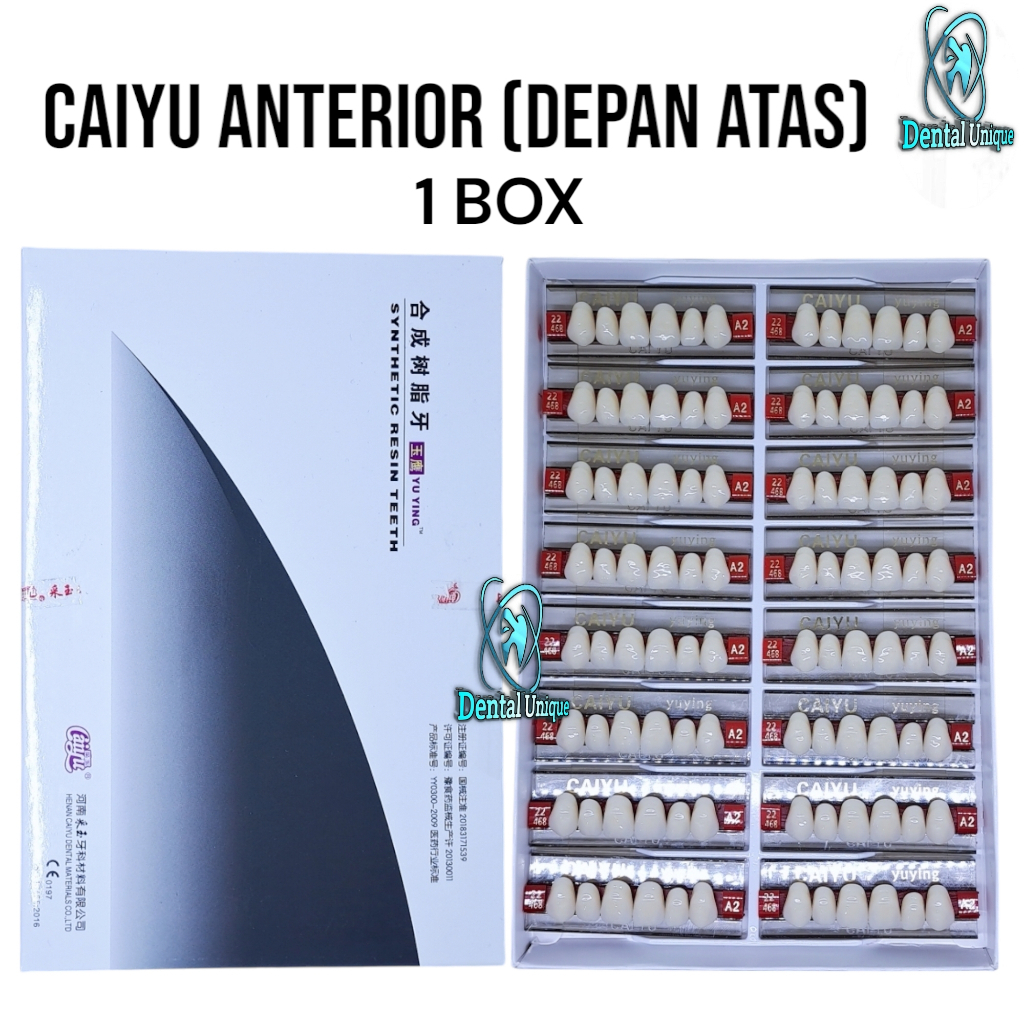 Gigi palsu Caiyu Per 1 Box Depan Atas anterior Upper isi 16 Baris