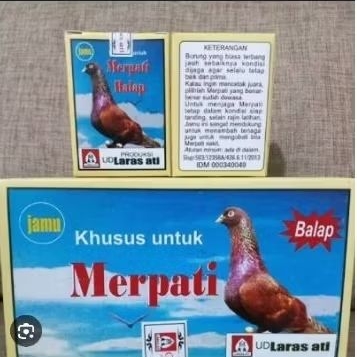 LARASATI MERPATI BALAP LARASATI BURUNG MERPATI JAMU BURUNG MERPATI
