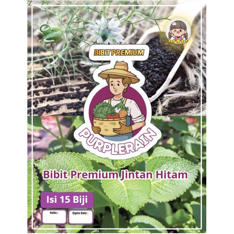 Bibit Premium Jintan Hitam | Benih Habbatussauda | Benih Jinten Hitam
