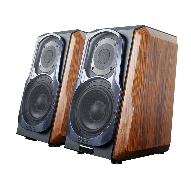 POLYTRON HiFi Speaker Audivo PHS 6A