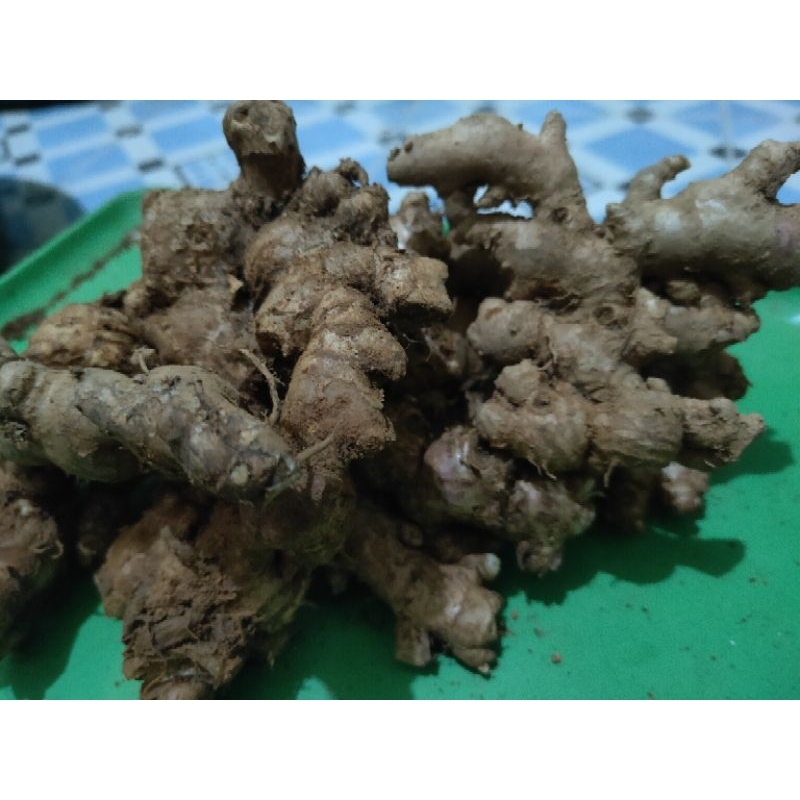 

Jahe emprit 0,5 kg segar asli