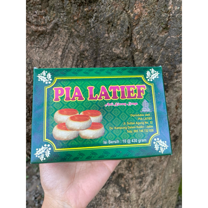 

Pia Kacang Hijau Isi 10 Pcs