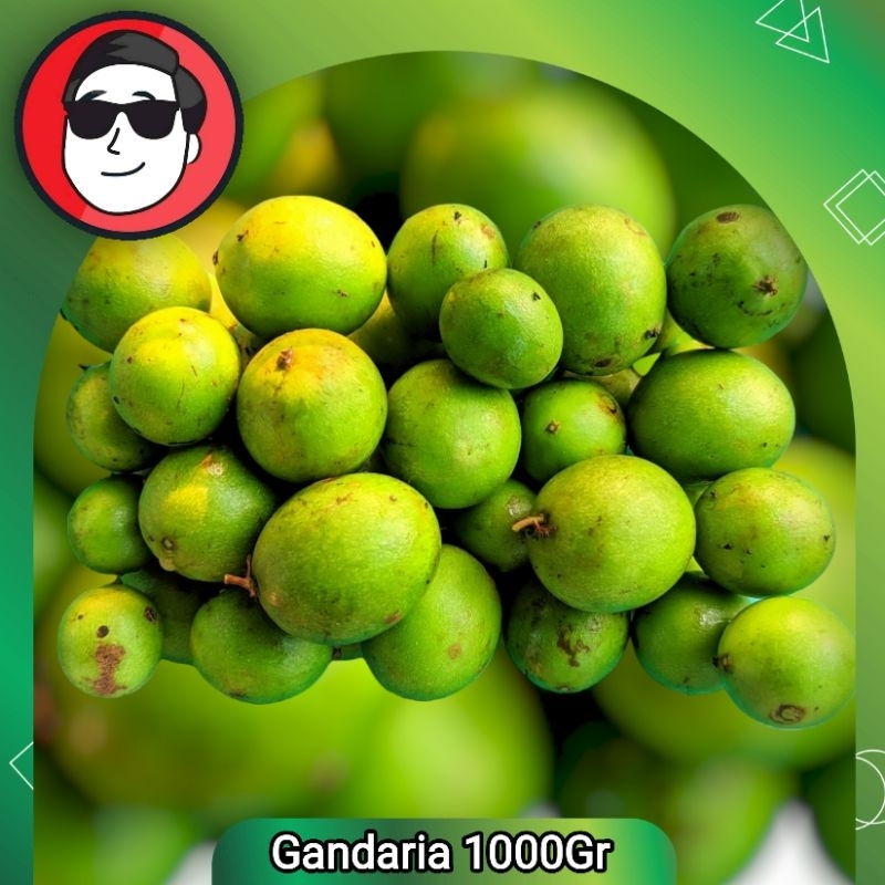 

Buah jatake Ramania Gandaria 1000g siap kirim No po