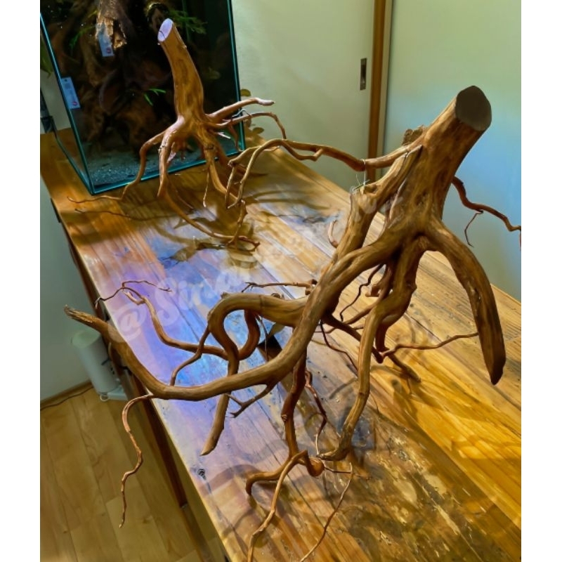 Akar Rasamala Aquascape aquarium size XXL Super Jumbo/Akar aquarium Rasamala Aquascape/ Akar Rasamal