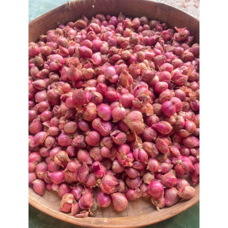

BAWANG MERAH LOKAL 1kg
