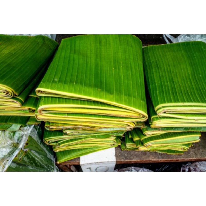 

daun pisang segar langsung ngambil dari pohonya