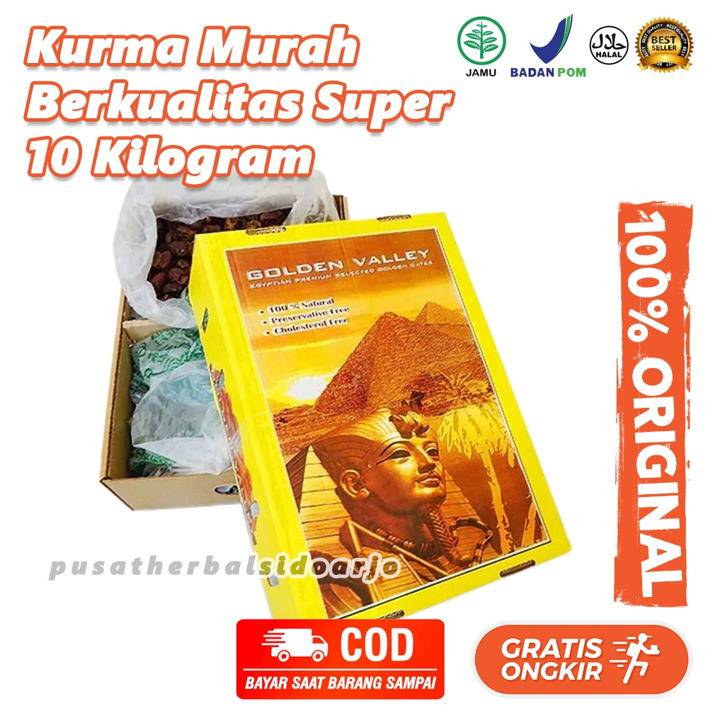 

Kurma Mesir Barari Golden Valley Golden Orient 10 kg Original Bersih tanpa kutu