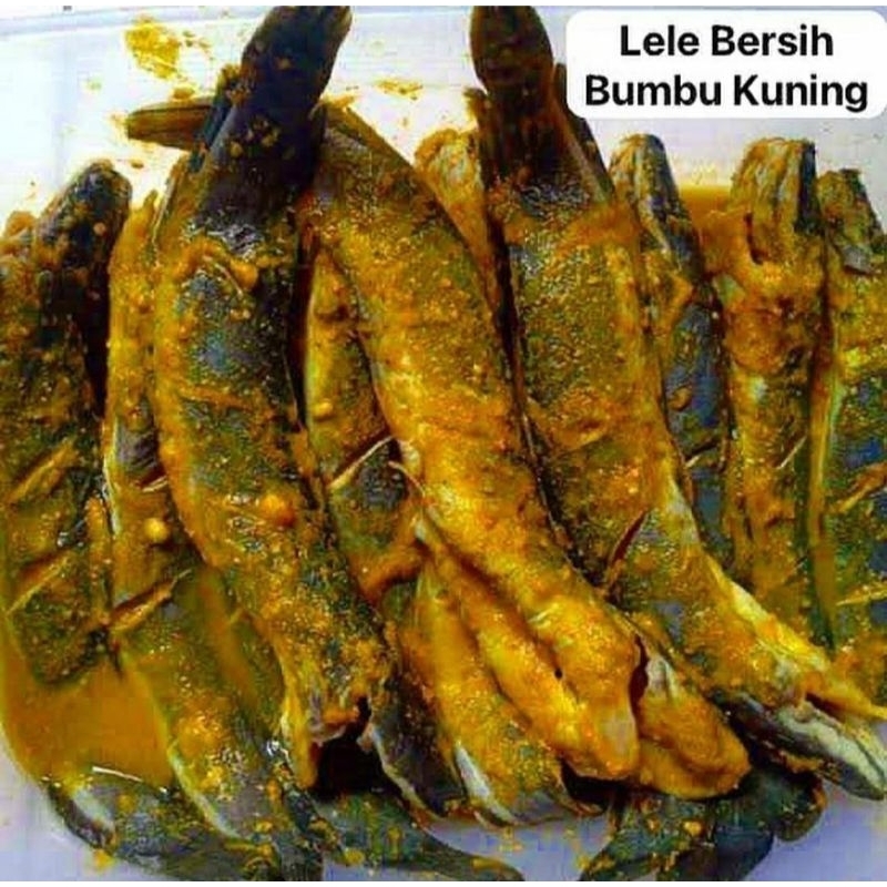 

Lele Frozen Food Marinasi Bumbu Kuning Ungkep & Fresh ( 6 Ekor )