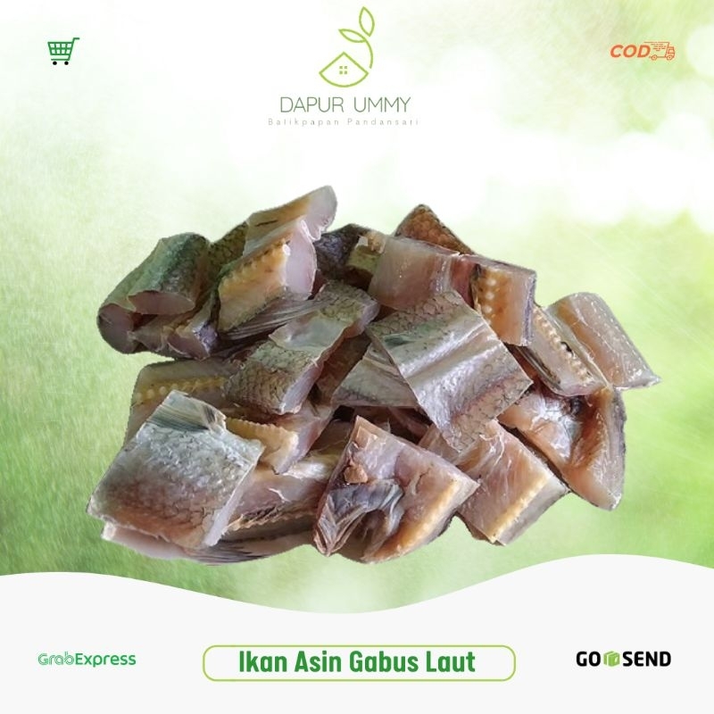 

GABUS LAUT | Ikan Asin Gabus Laut