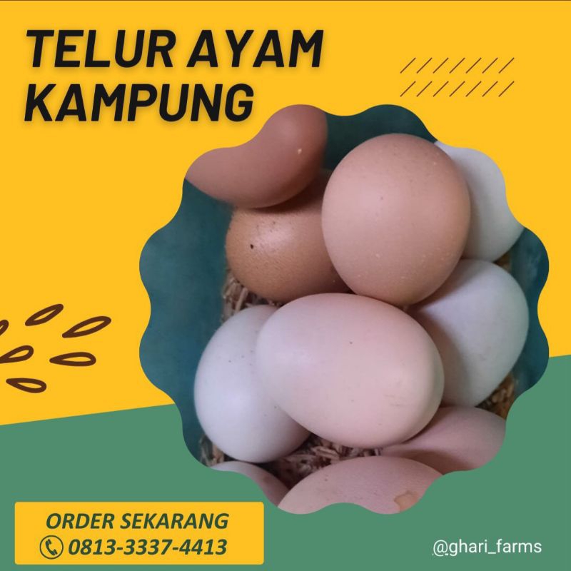 

Telur Ayam Kampung Fresh