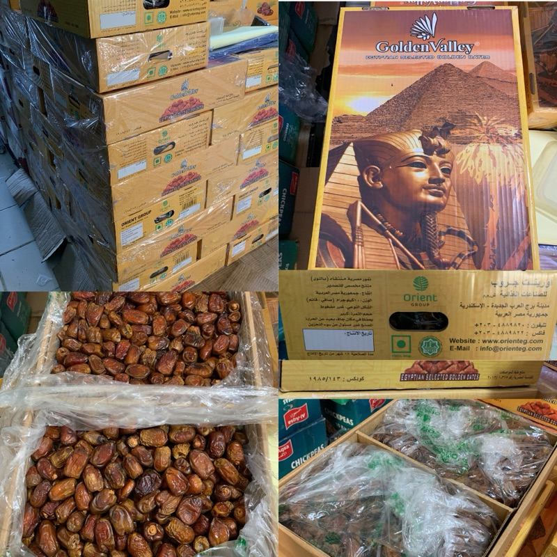 

Kurma Mesir Golden Valey murah meriah berkualitas halal