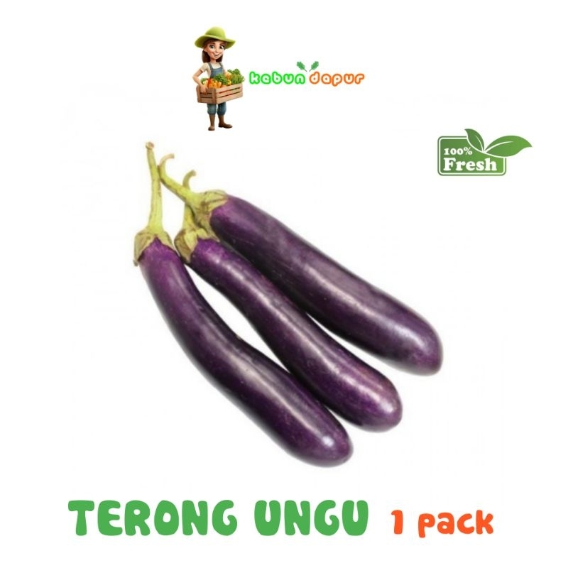 

TERONG UNGU FRESH Harga per 1 pack 250g -Kebun Dapur-