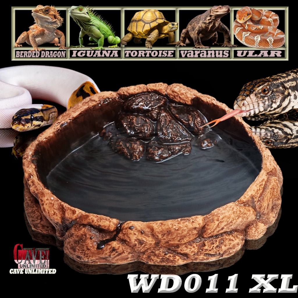 WD011XL WATERDISH WATER FEEDING DISH TEMPAT MAKAN MINUM IGUANA HIJAU BEARDED DRAGON BD DUNNER NAGA B